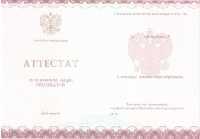Аттестат за 9 класс 2013-2019 в Новошахтинске