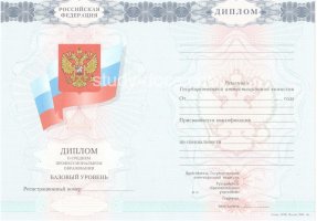 Диплом техникума 2007-2010 в Новошахтинске